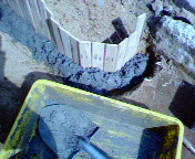 NEC_0043.jpg