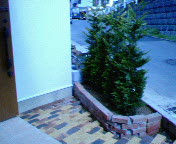 NEC_0047.jpg