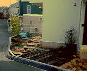 NEC_0051.jpg