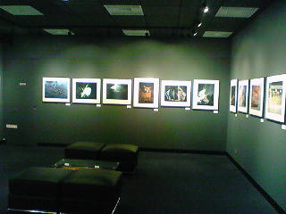 NEC_0424.jpg
